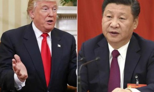云南天麻 厂家直销-云南中药材天麻价格行情-专业云南天麻价格2026平台-云南正宗天麻批发