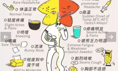 云南中药材天麻价格行情-专业云南天麻价格2026平台-云南正宗天麻批发